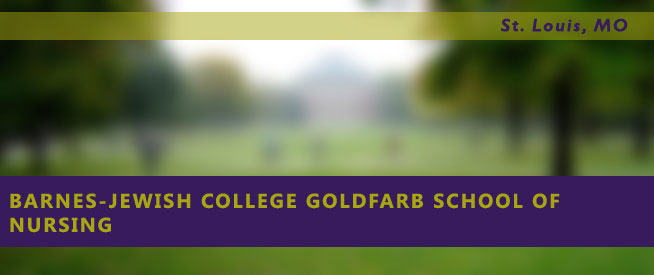 Barnes-Jewish College Goldfarb School of Nursing Nursing Program