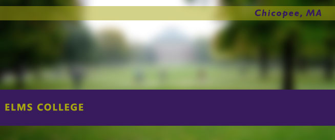 Elms College Nursing Program