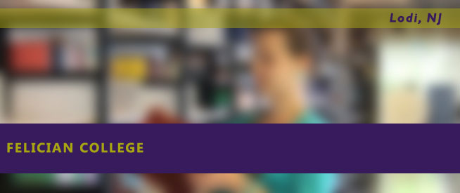 Felician College Nursing Program