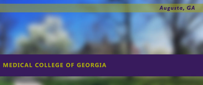 Medical College of Georgia Nursing Program