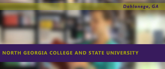 North Georgia College and State University Nursing Program