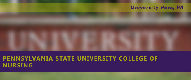 Pennsylvania State University College of Nursing Nursing Program