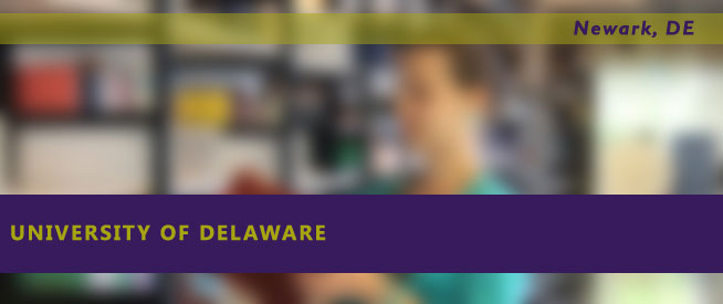 University of Delaware Nursing Program